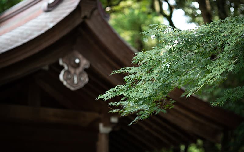 砥鹿神社の写真6