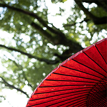 砥鹿神社のイメージ写真2