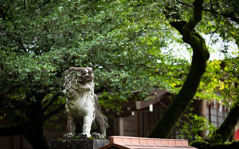 砥鹿神社の写真3