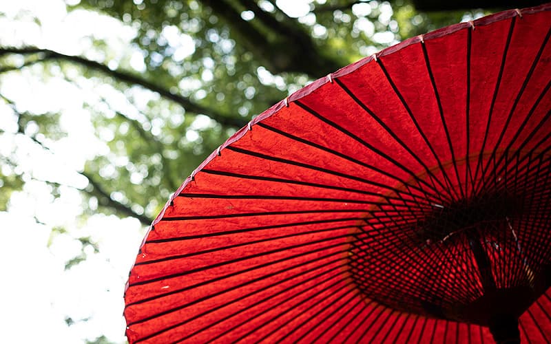 砥鹿神社の写真4