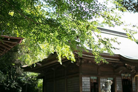 砥鹿神社