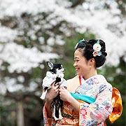 とが写真館の撮影事例 ギャラリー09